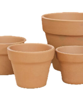 Small Terracotta