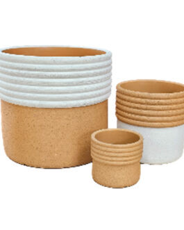 Small Terracotta