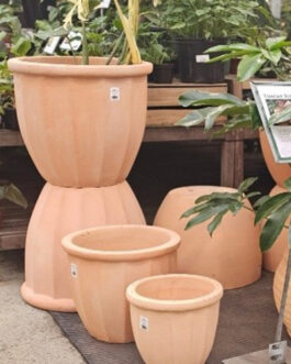 Tuscan Terracotta