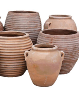 Terracotta Terrachino